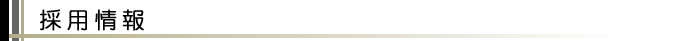 �̗p���